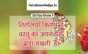 Unbelievable facts in hindi 2 Unbelievable Facts in Hindi