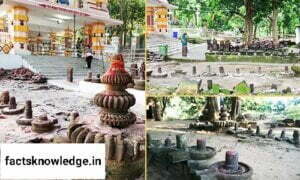 Mysterious Story In Hindi - रहस्मय धार्मिक स्थल टांगीनाथ धाम – जंहा आज भी है भगवान परशुराम जी का फरसा। 3 Mysterious Story In Hindi - रहस्मय धार्मिक स्थल टांगीनाथ धाम – जंहा आज भी है भगवान परशुराम जी का फरसा। facts in hindi | hindi facts | quotes in hindi | india | education | knowledge