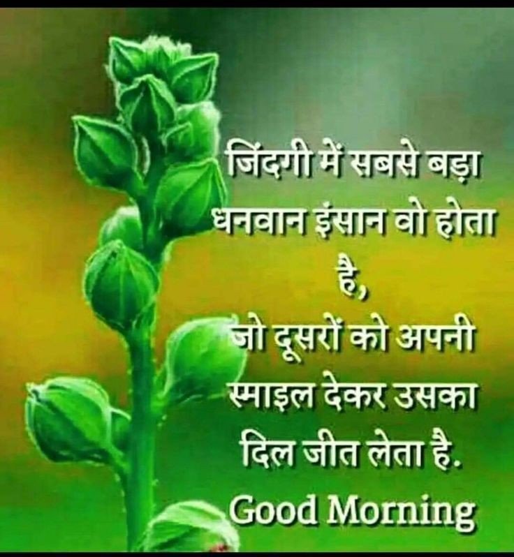 Inspirational good morning quotes in hindi | सुप्रभात पर अनमोल सुविचार 31 हिंदी वचन
