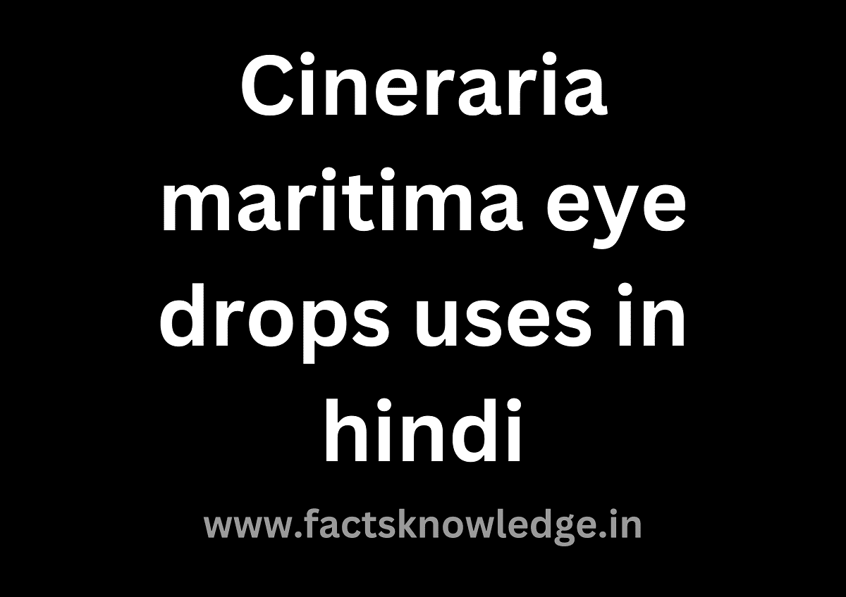 Cineraria maritima eye drops uses in hindi