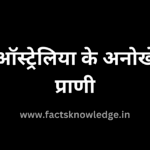 ऑस्ट्रेलिया के अनोखे प्राणी