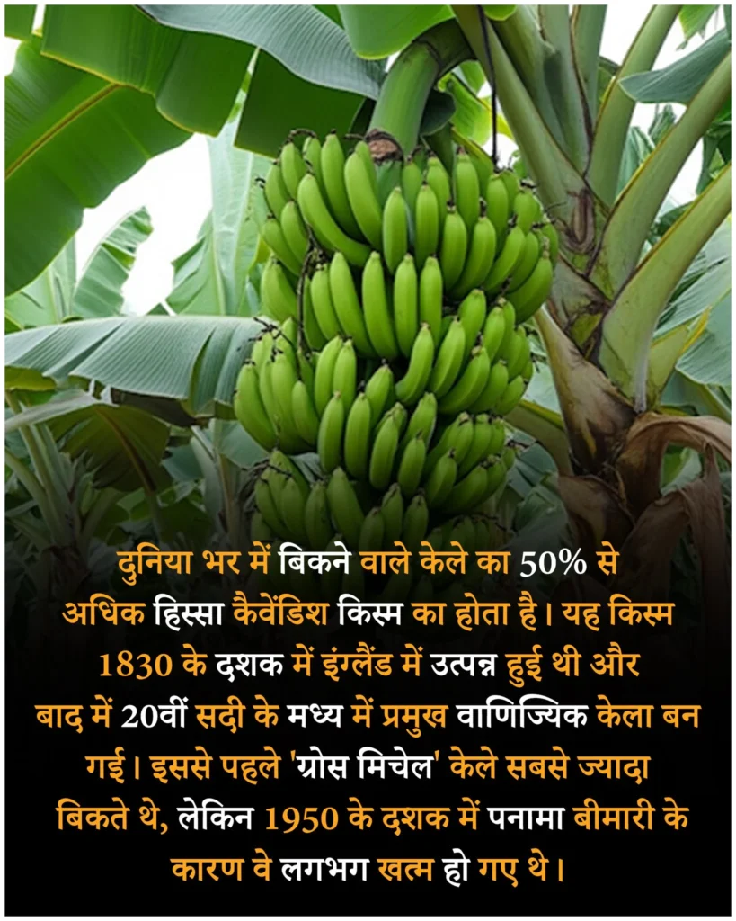 दुनिया के बारे में रोचक तथ्य | Amazing facts in hindi about world