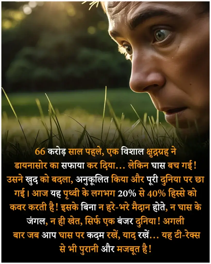 दुनिया के बारे में रोचक तथ्य | Amazing facts in hindi about world