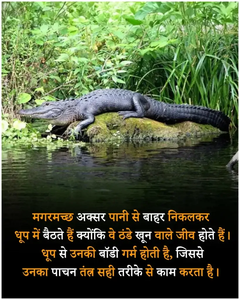 Random facts in hindi | 100 मजेदार रोचक तथ्य