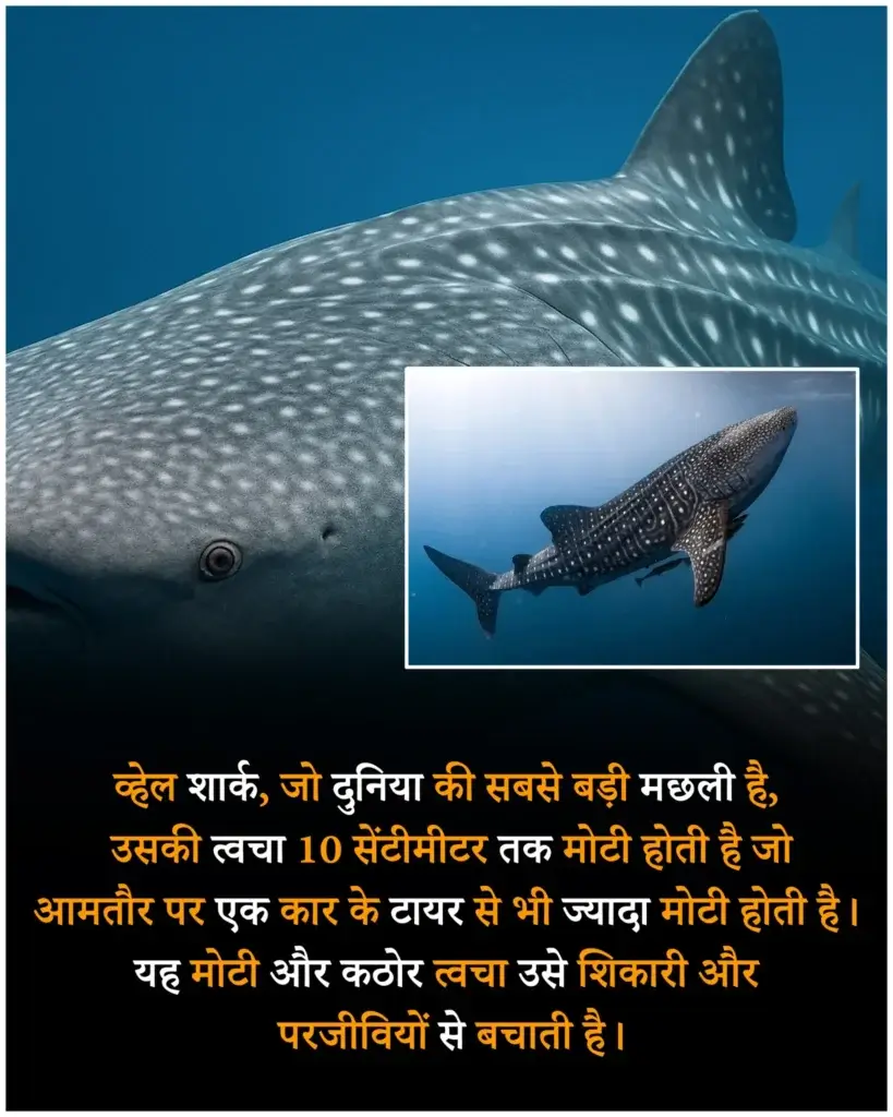 Random facts in hindi | 100 मजेदार रोचक तथ्य