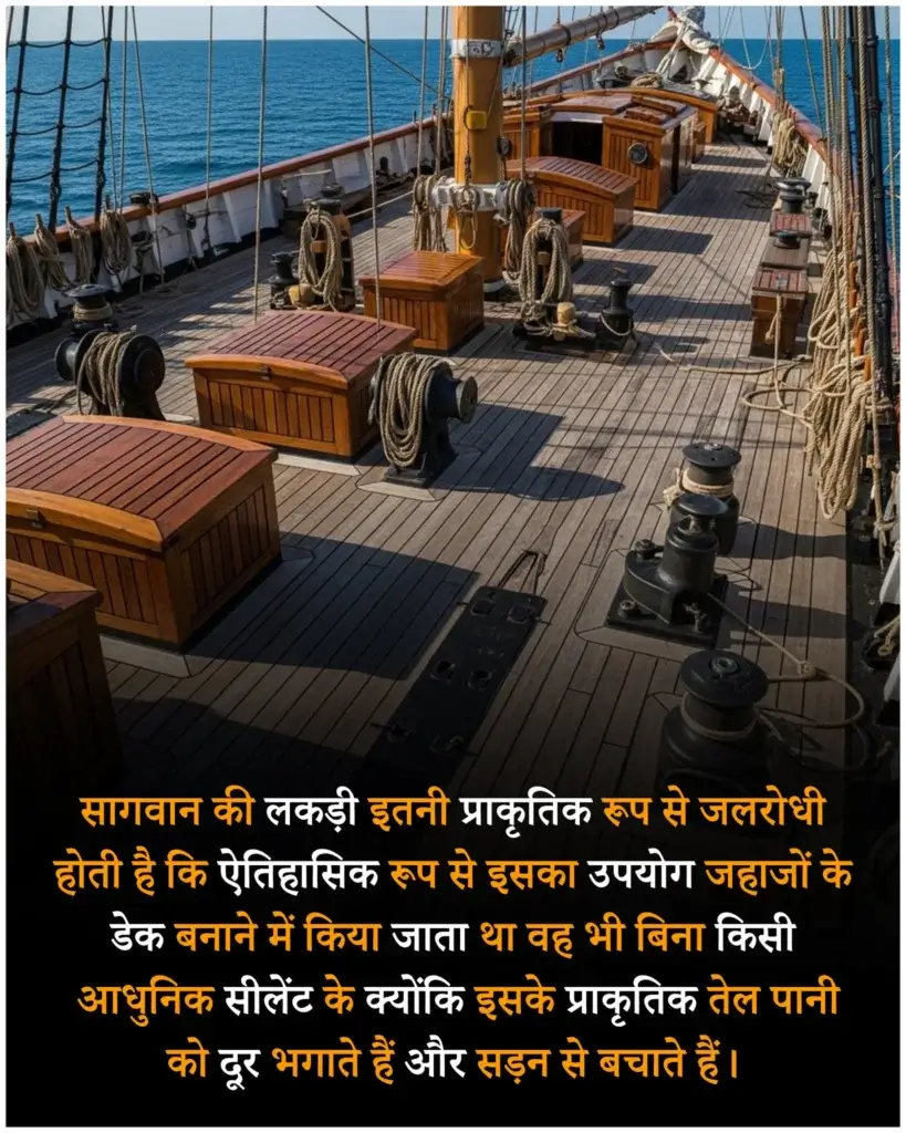 Amazing facts in hindi