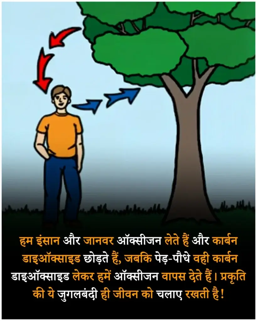 साइंस रोचक तथ्य इन हिंदी | 100 Science facts in hindi