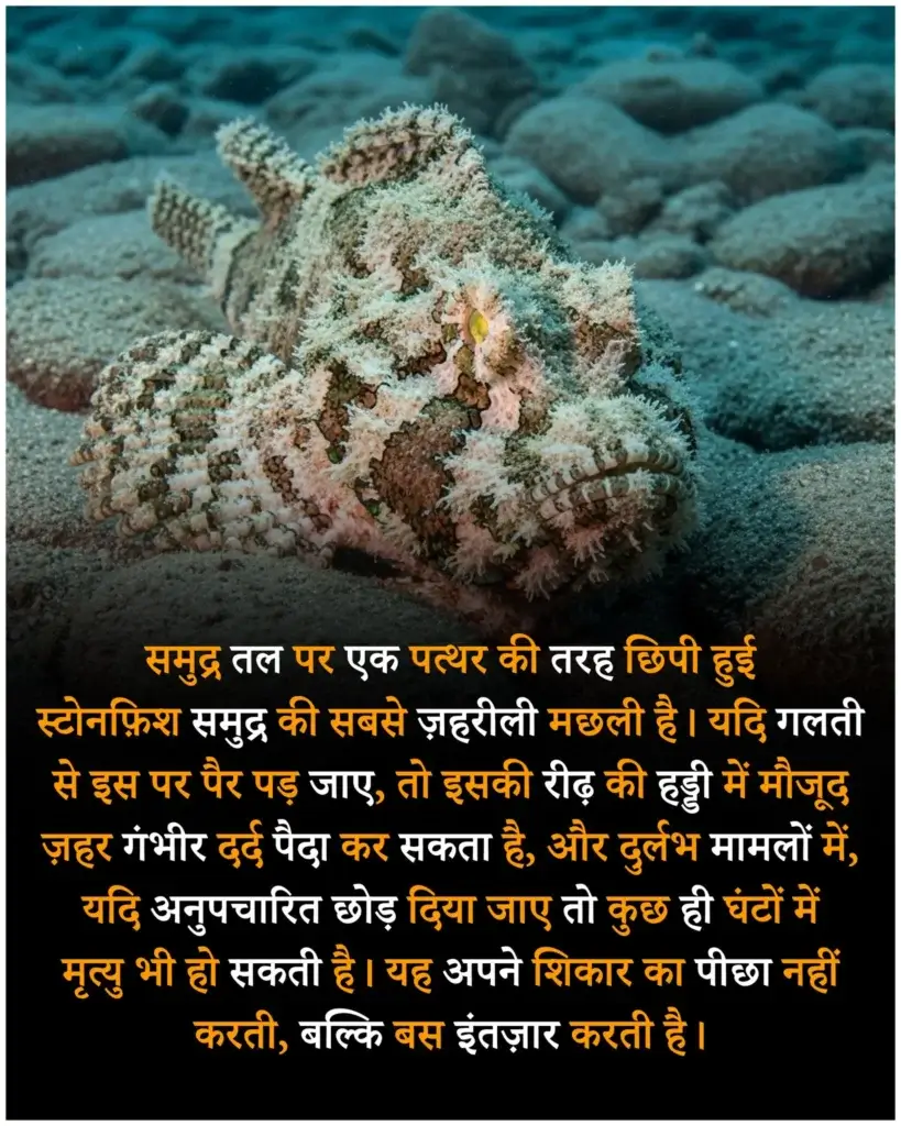 साइंस रोचक तथ्य इन हिंदी | 100 Science facts in hindi