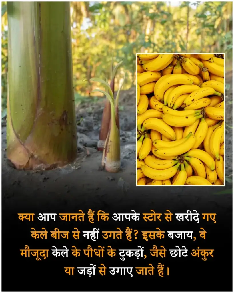 जनरल नॉलेज की कुछ बातें, रोचक तथ्य, फैक्ट्स, facts in hindi