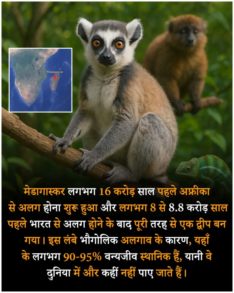 Amazing facts about animal in hindi, interesting facts animal hindi, जानवरो के रोचक तथ्य, Animal facts in hindi, facts in hindi, रोचक तथ्य