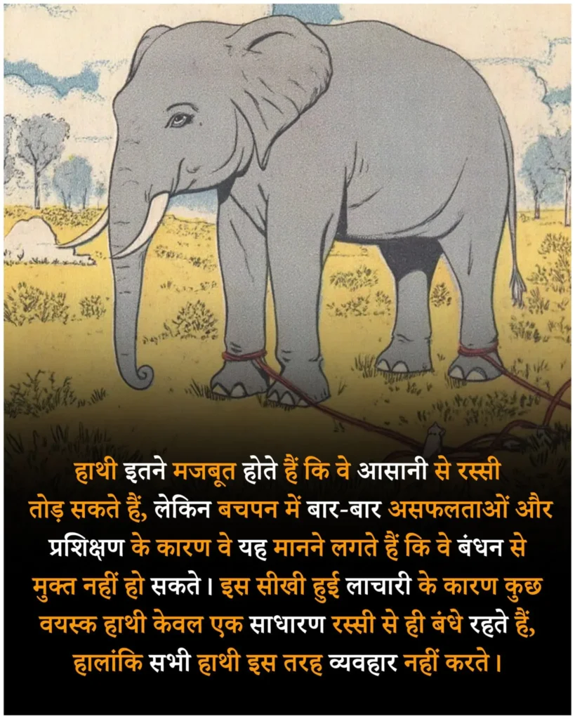 Amazing facts about animal in hindi, interesting facts animal hindi, जानवरो के रोचक तथ्य, Animal facts in hindi, facts in hindi, रोचक तथ्य