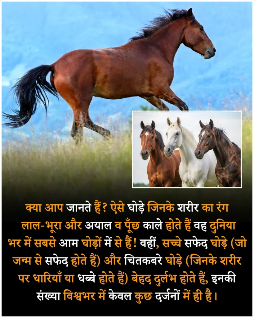 जानवरो के रोचक तथ्य, Animal facts in hindi, facts in hindi, रोचक तथ्य