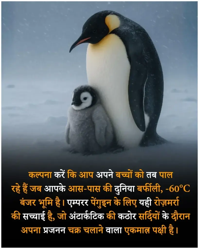 दुनिया के बारे में रोचक तथ्य Amazing facts in hindi about world