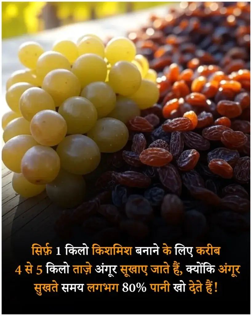 दैनिक जीवन से जुड़े फैक्ट्स | Daily facts in hindi