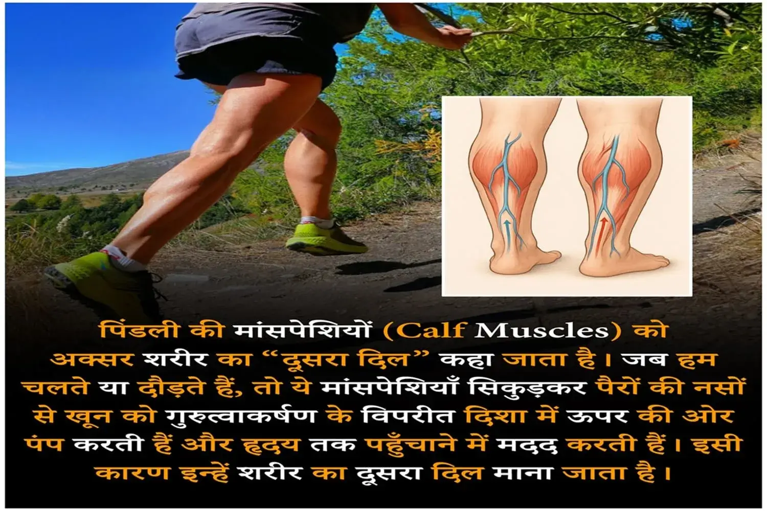 Interesting रोचक तथ्य इन हिंदी - Rochak Tathya in Hindi, Facts in Hindi, फैक्ट्स नॉलेज, रोचक जानकारी