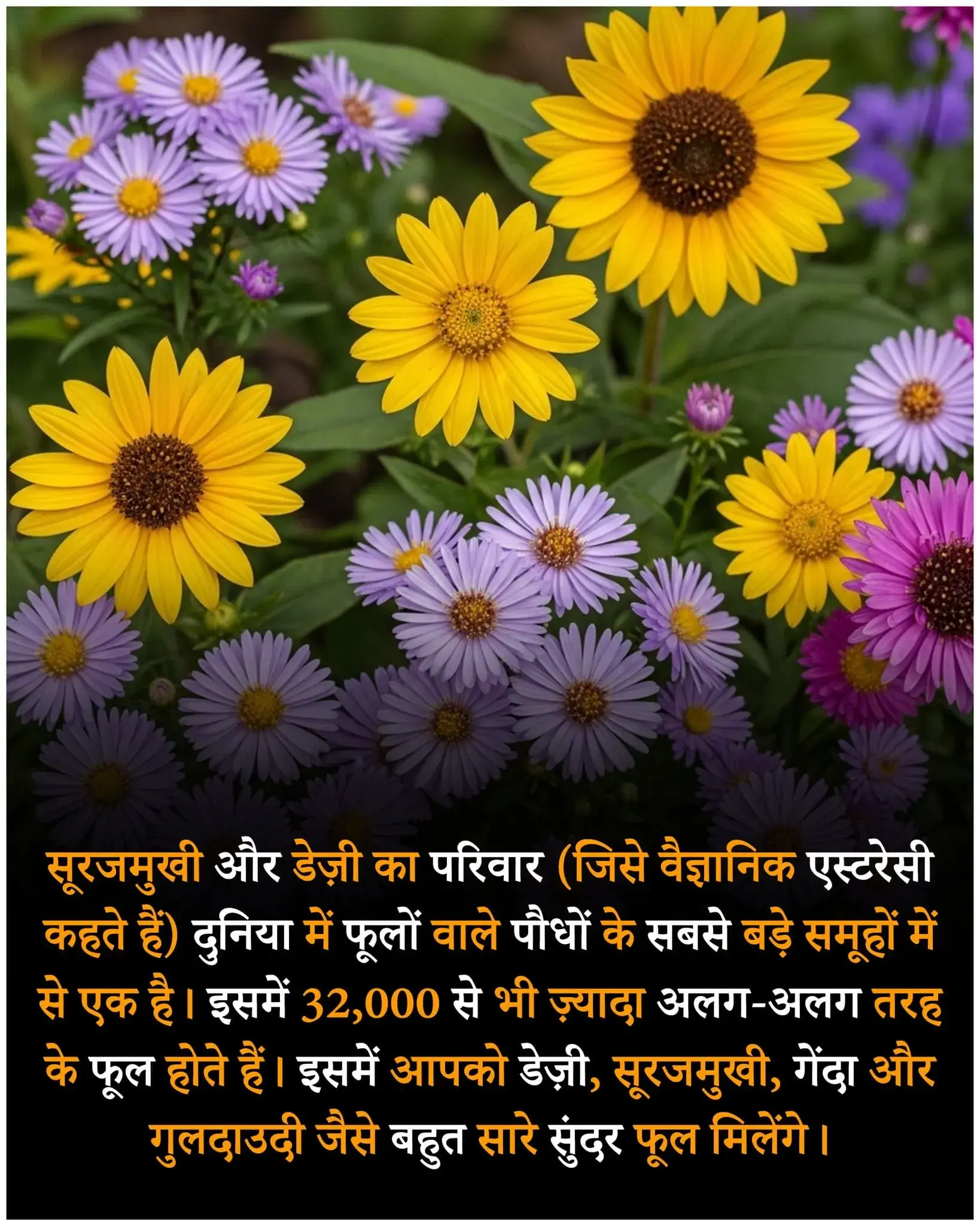 Did you know facts in hindi