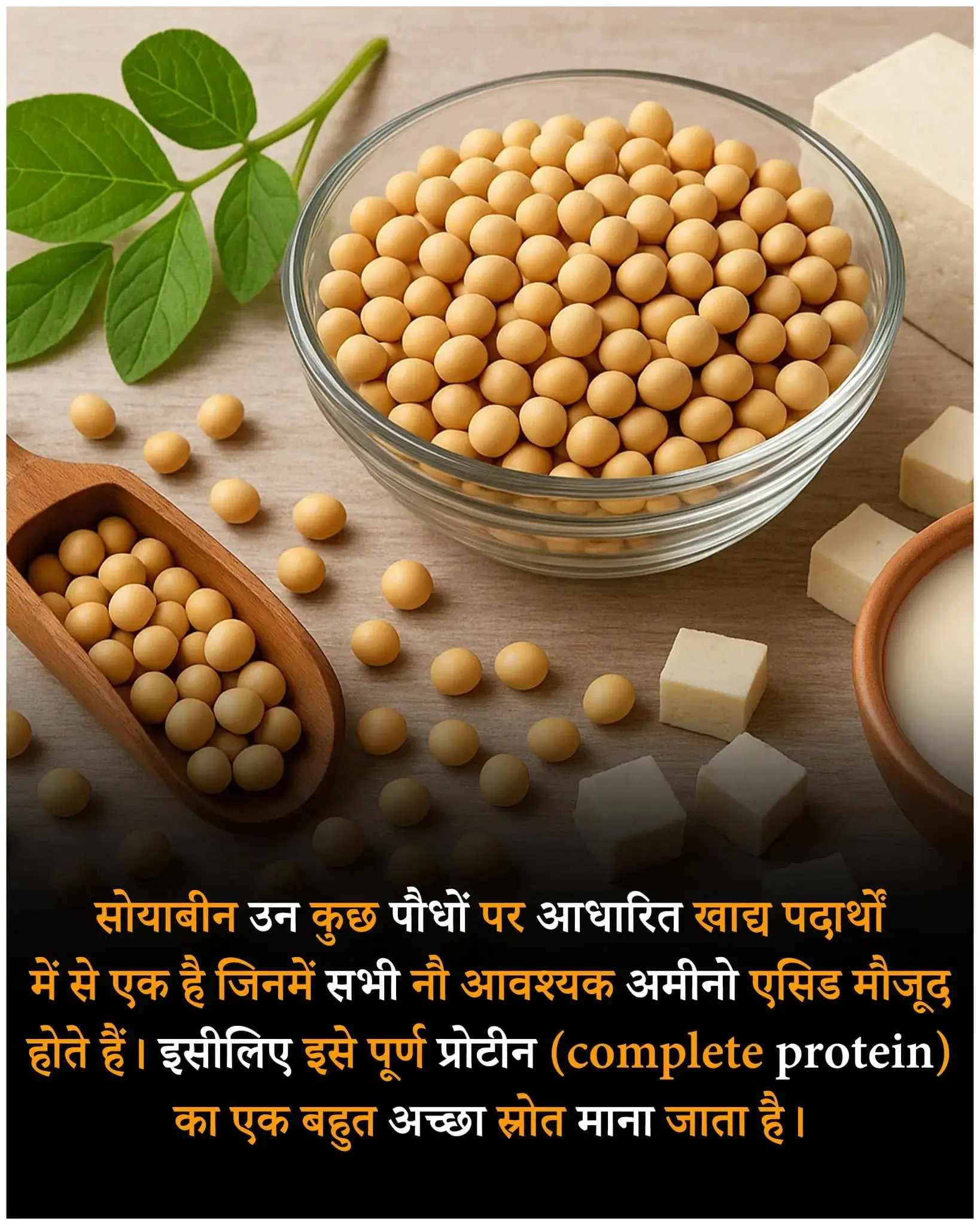Fact lines in hindi