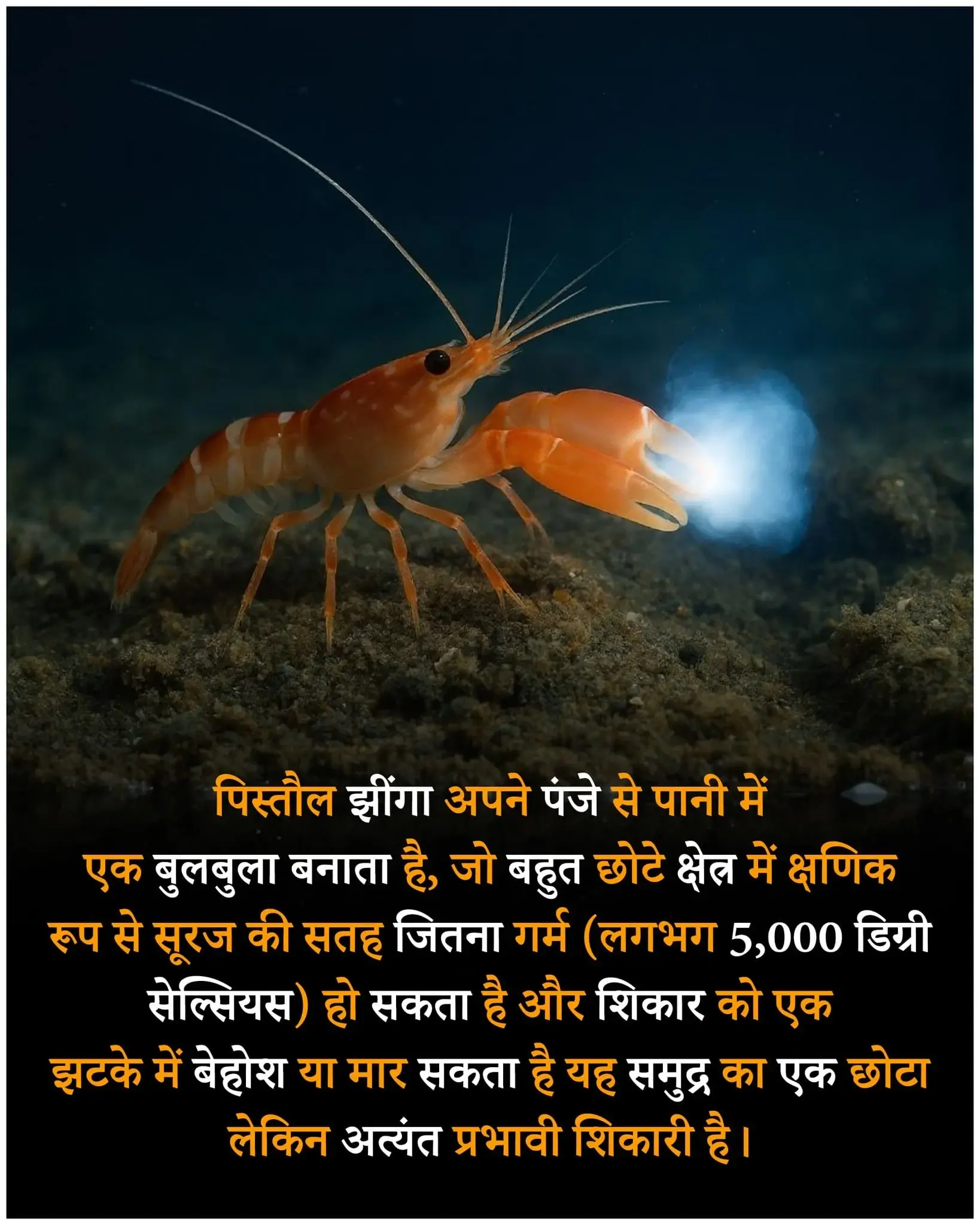 Short fact in hindi