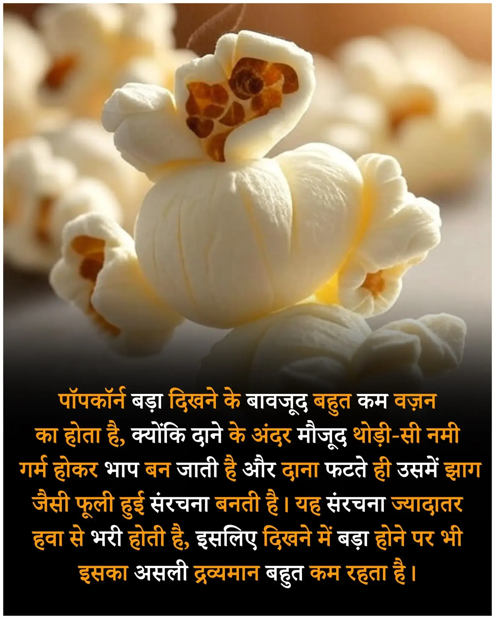 Trending facts in Hindi – ट्रेंडिंग फैक्ट्स इन हिंदी