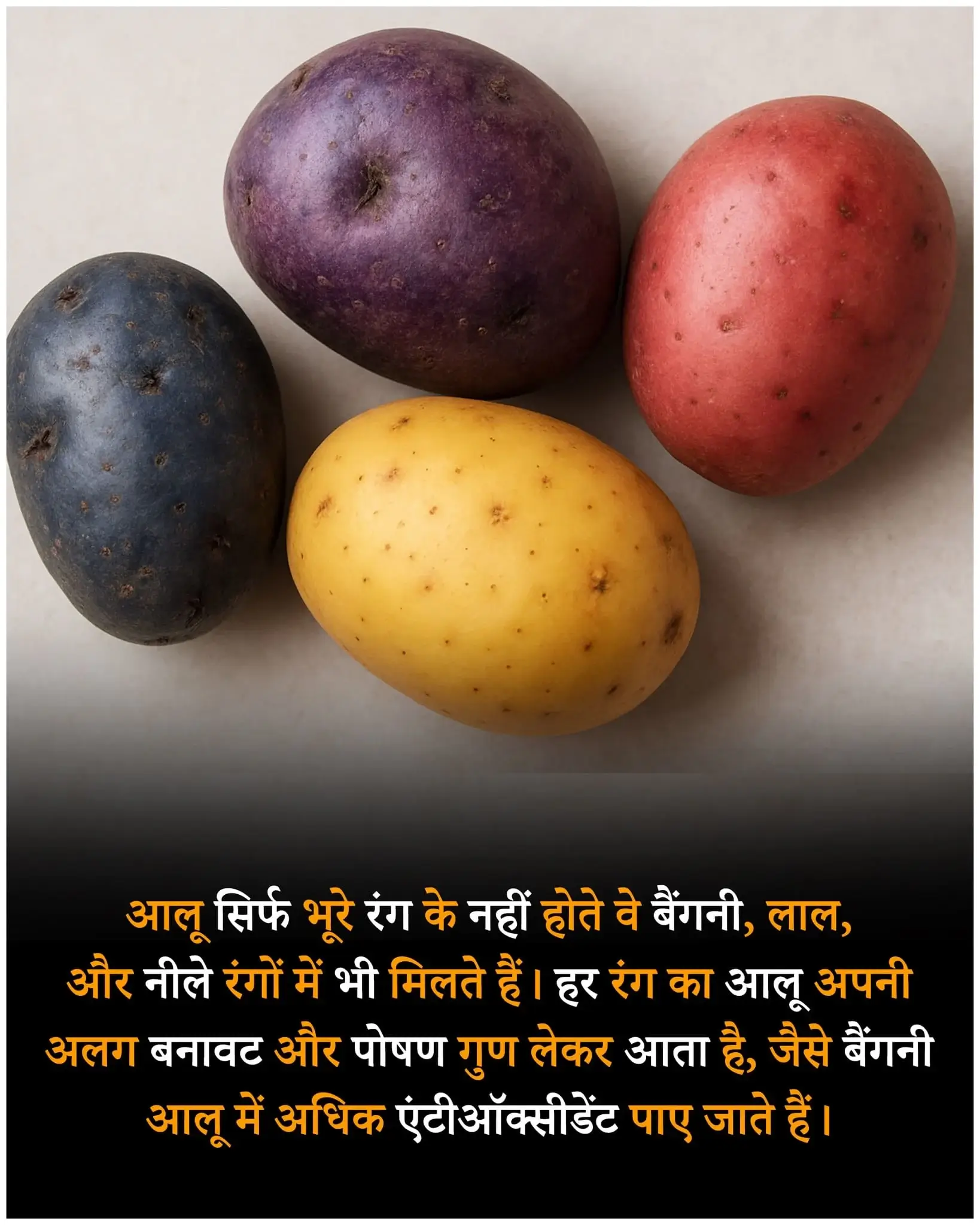 आश्चर्यजनक फैक्ट्स - Wonderful Facts in Hindi
