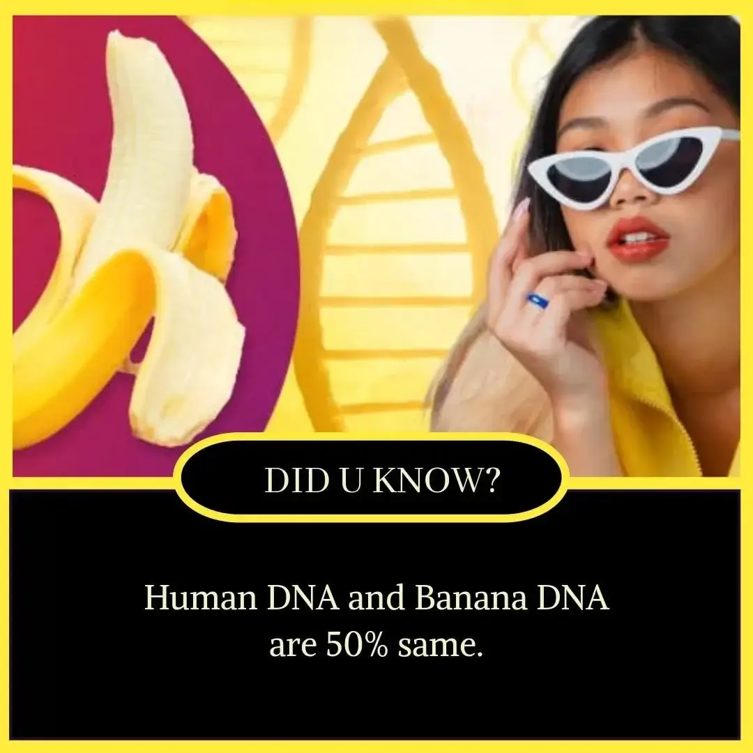 Amazing Facts in English for Students - Unbelievable but True Facts