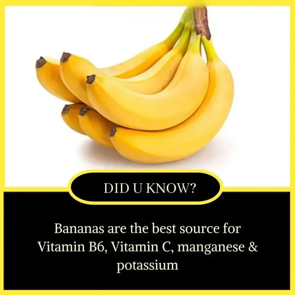 Amazing Facts in English for Students - Unbelievable but True Facts