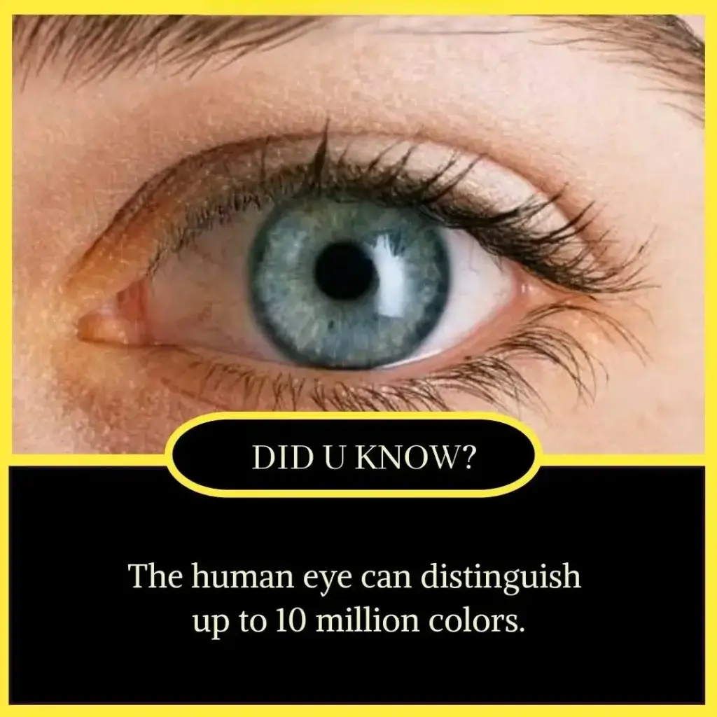 Amazing Facts in English for Students - Unbelievable but True Facts