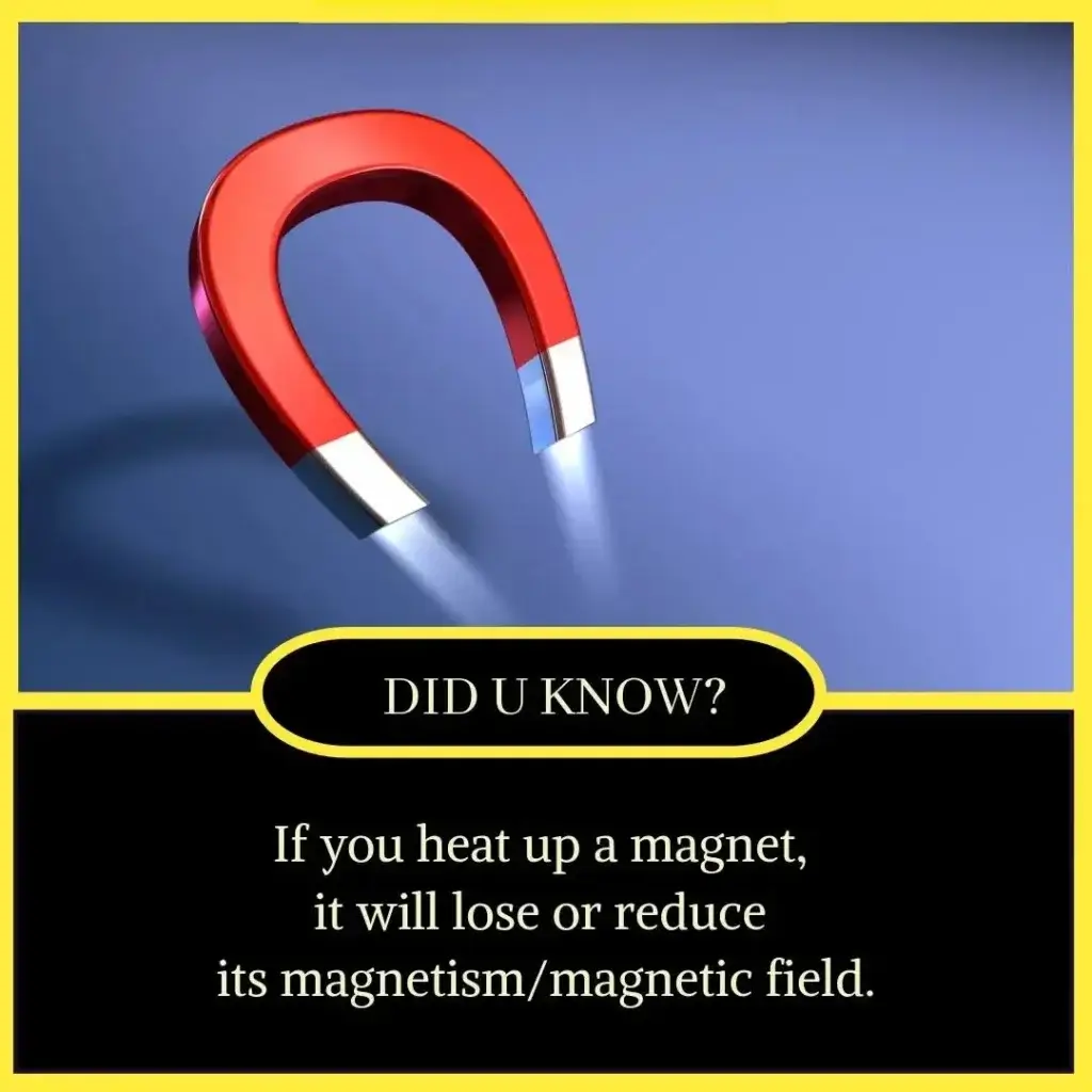 Amazing Facts in English for Students - Unbelievable but True Facts