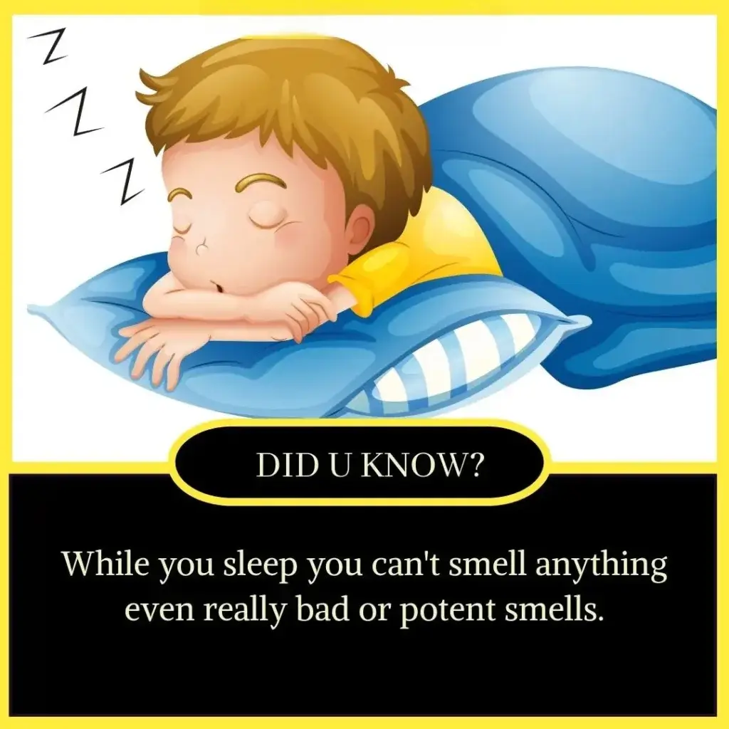 Amazing Facts in English for Students - Unbelievable but True Facts