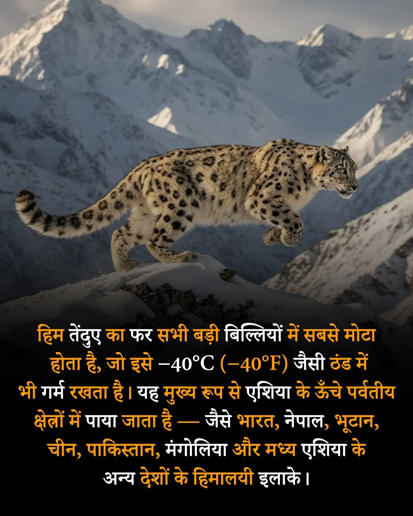 Fun Facts about Exotic Animals in Hindi