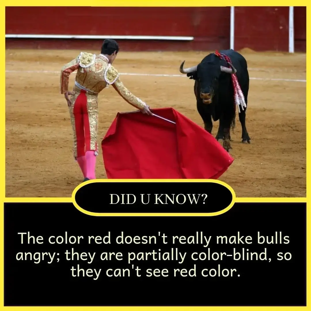 Top 10 amazing facts of the world for students