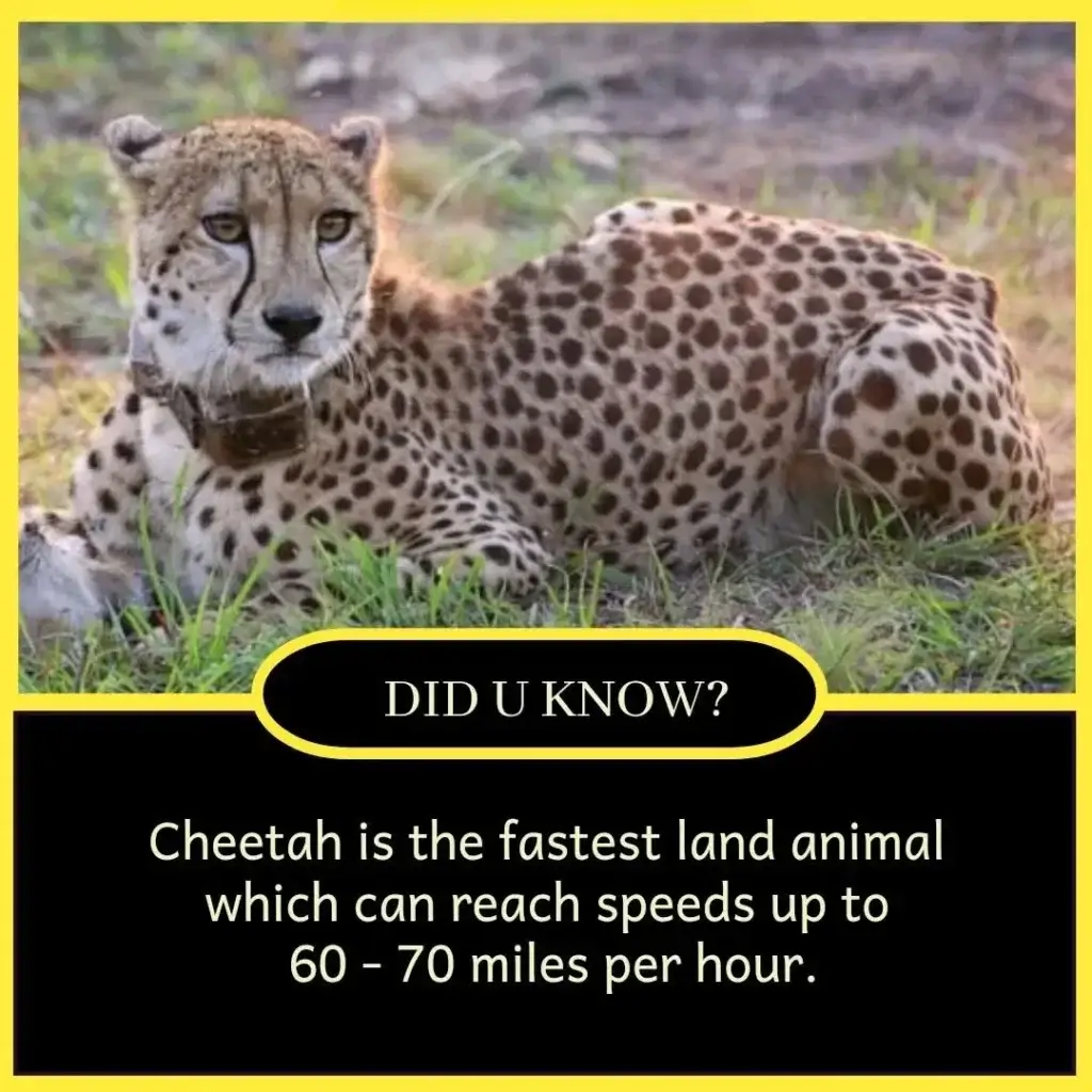 Top 10 amazing facts of the world for students