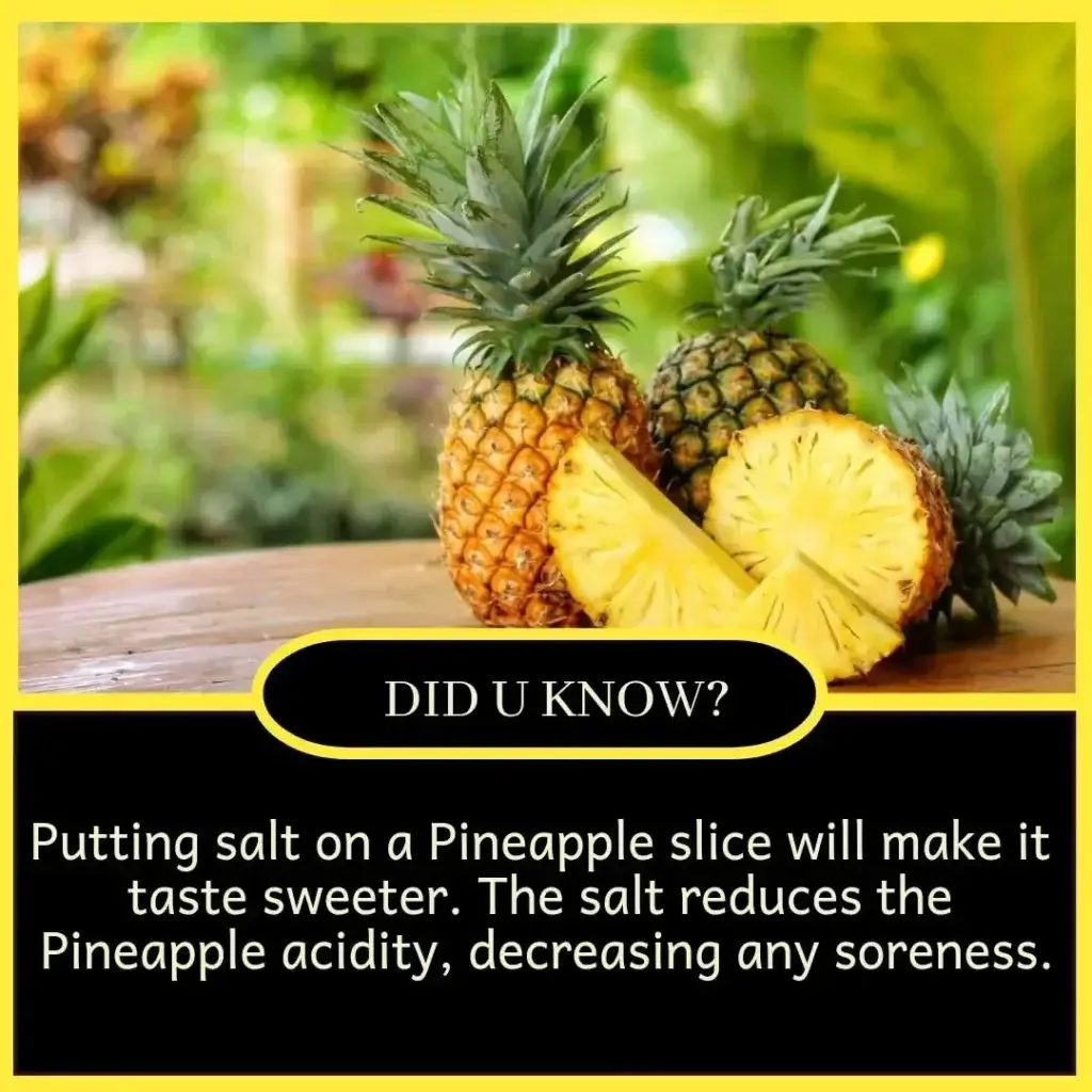 Top 10 amazing facts of the world for students
