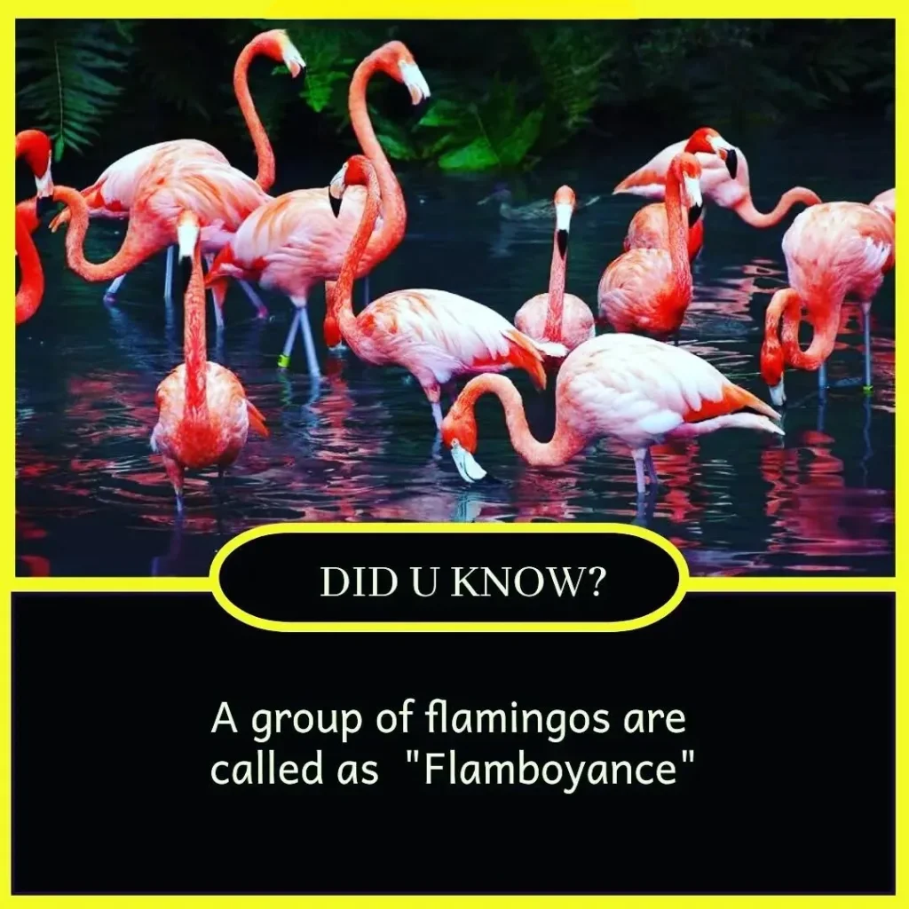 Top 10 amazing facts of the world for students