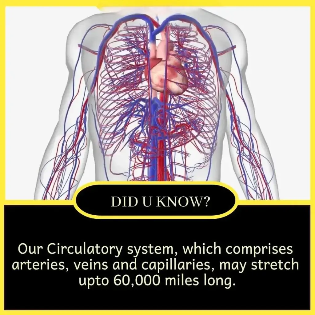 Top 10 amazing facts of the world for students