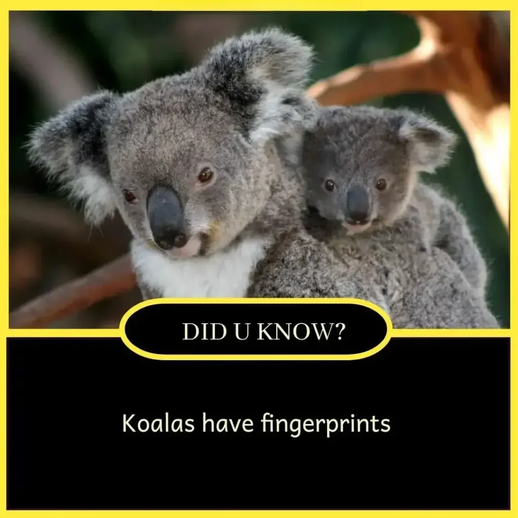 Top 10 amazing facts of the world for students