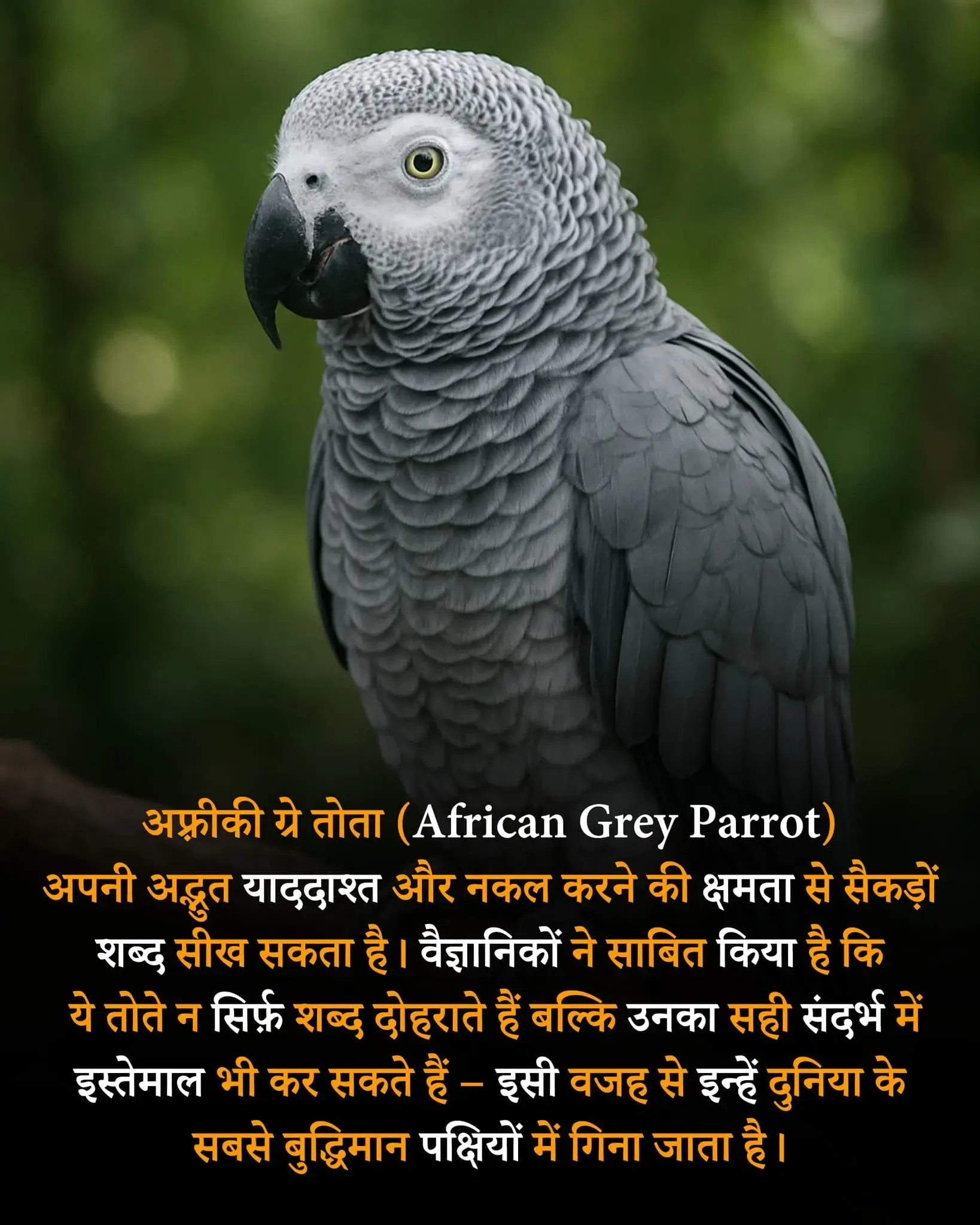 kuch interesting facts in hindi