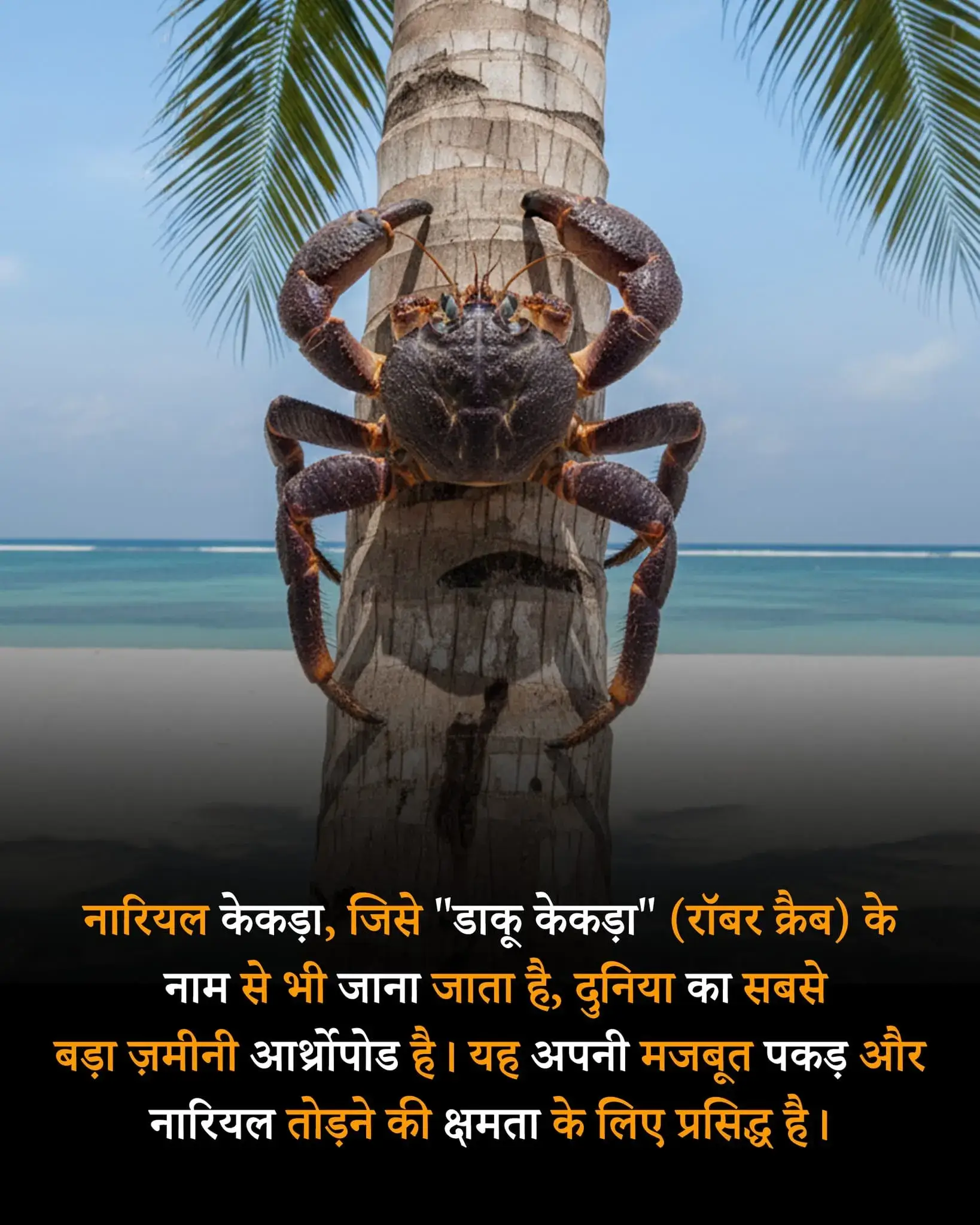 real life facts quotes in hindi