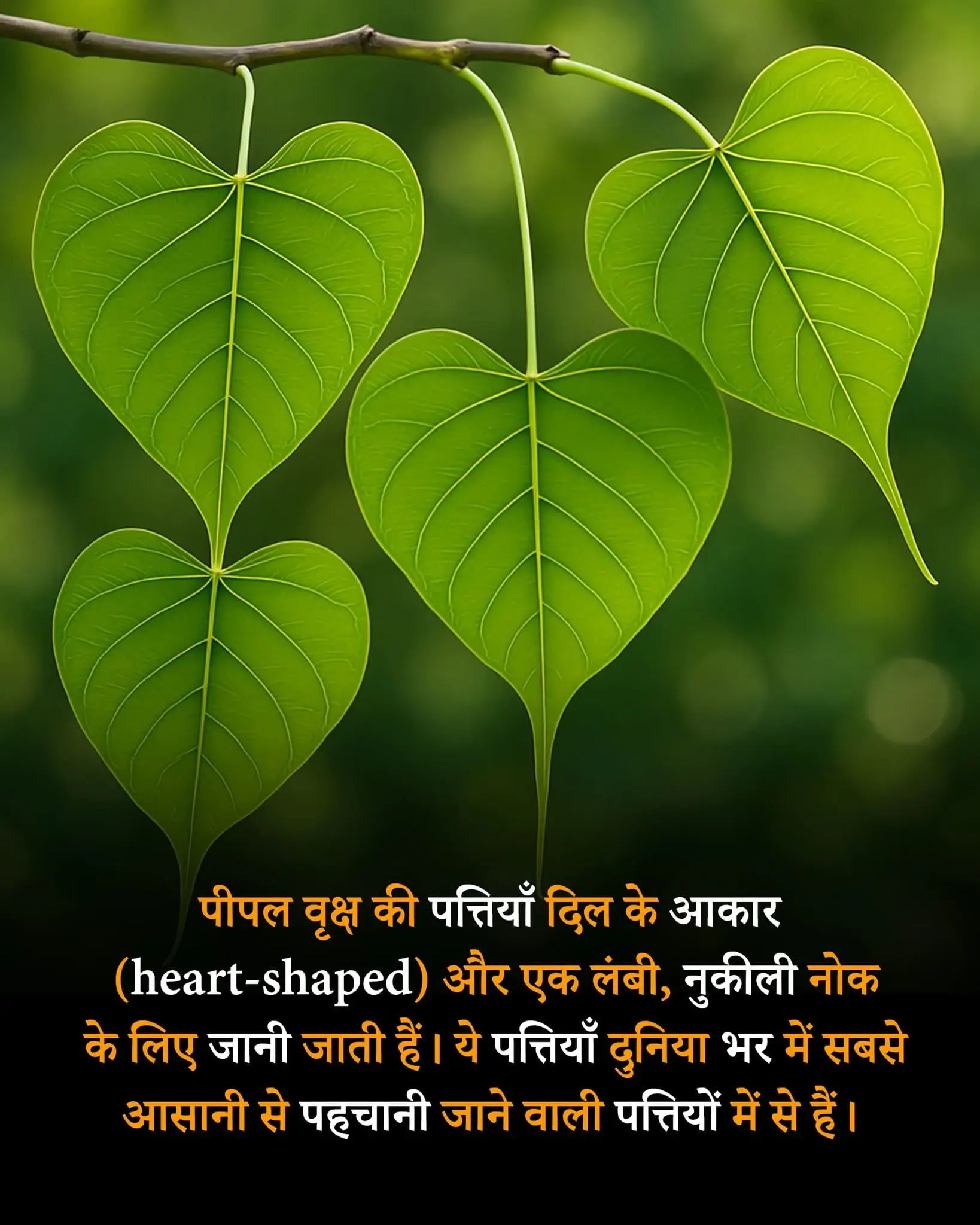 क्या आप जानते है facts