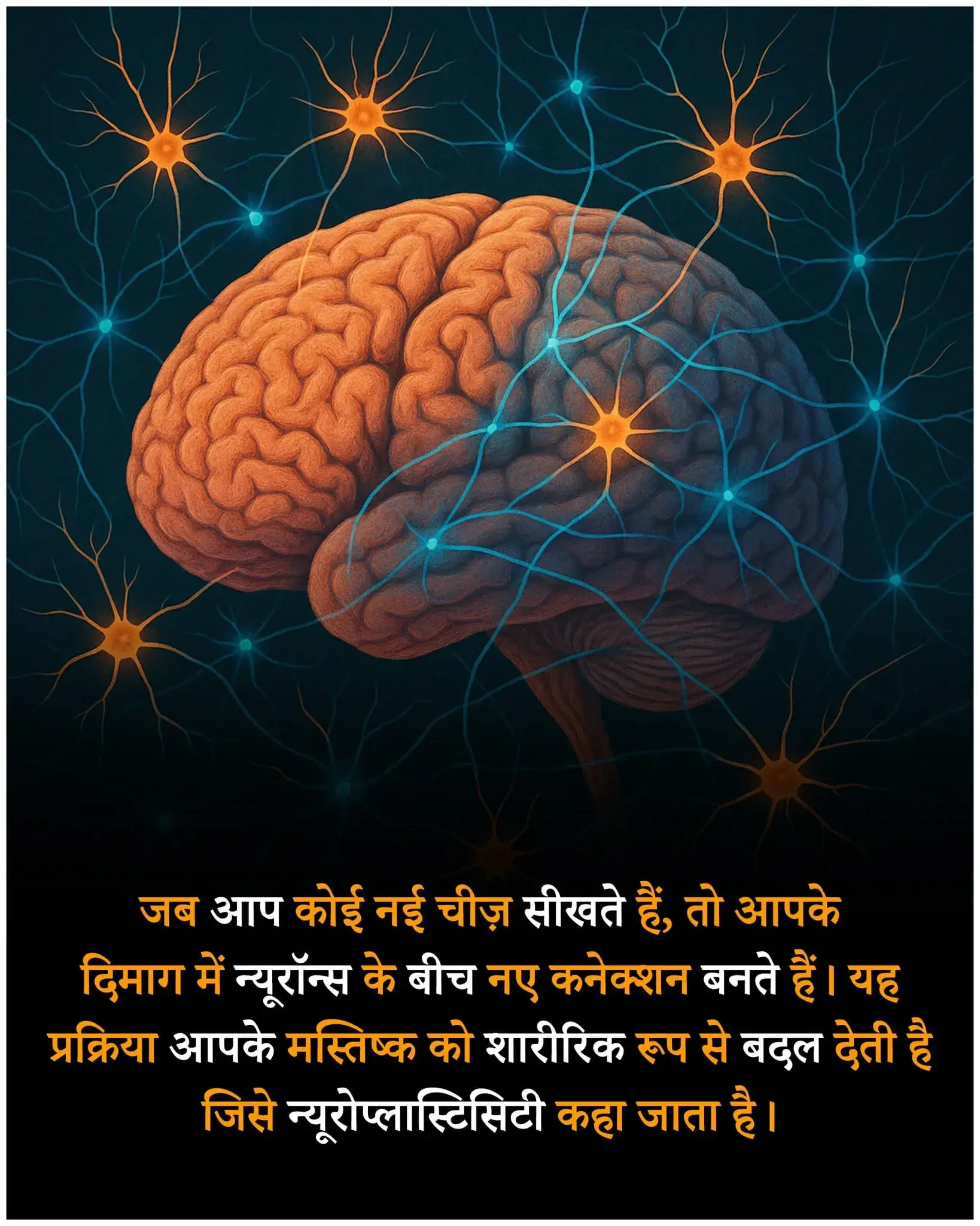 Amazing Facts about Books in Hindi–किताबों के रोचक तथ्य