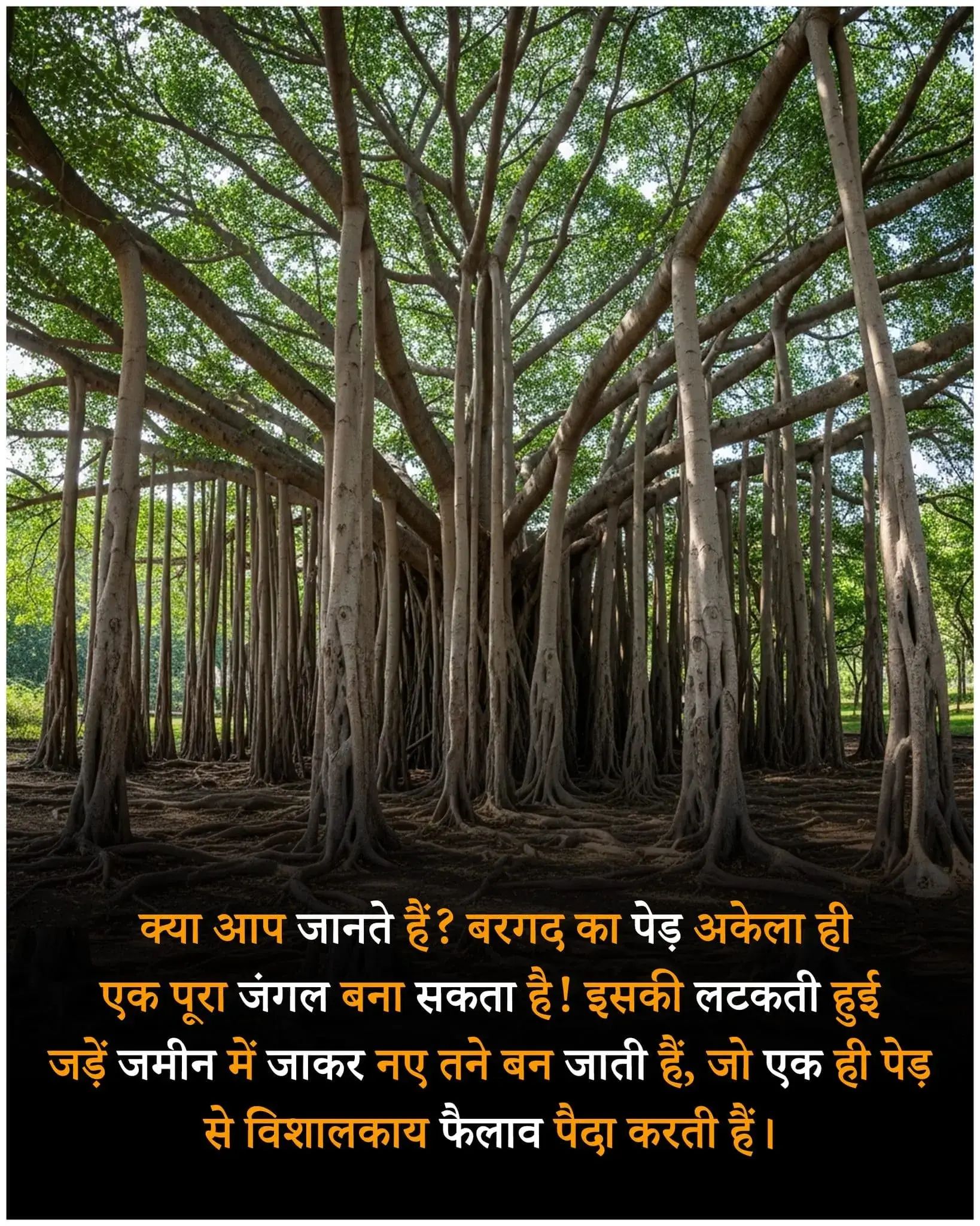Facts in Hindi - फैक्ट्स नॉलेज - रोचक तथ्य और ज्ञान