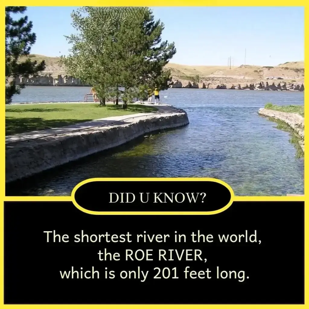 100+ Amazing True Facts in English – Daily Life Facts 6 Amazing True Facts in English – Daily Life Facts