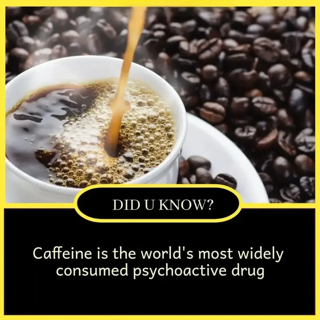 100+ Amazing True Facts in English – Daily Life Facts 4 Amazing True Facts in English – Daily Life Facts