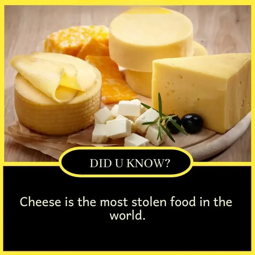 100+ Amazing True Facts in English – Daily Life Facts 2 Amazing True Facts in English – Daily Life Facts