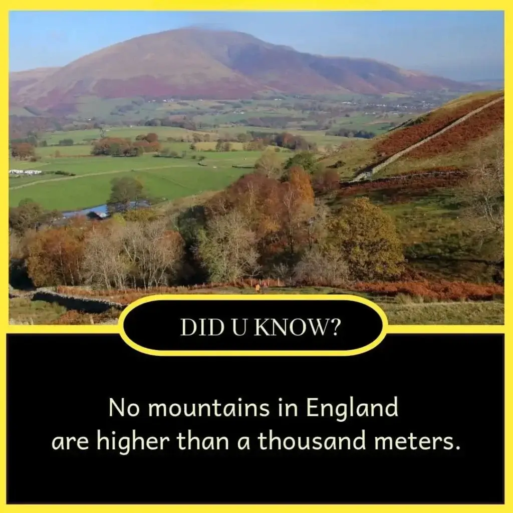 Fun Fact Student 100+ Interesting Fun Facts for Student - True Facts
