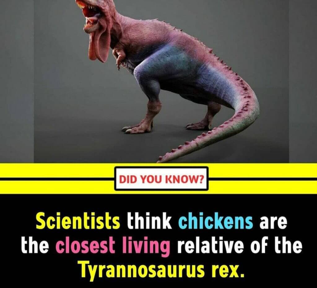 100+ Amazing Facts in English for Students - Unbelievable but True Facts 11 100+ Amazing Facts in English for Students – Unbelievable but True Facts