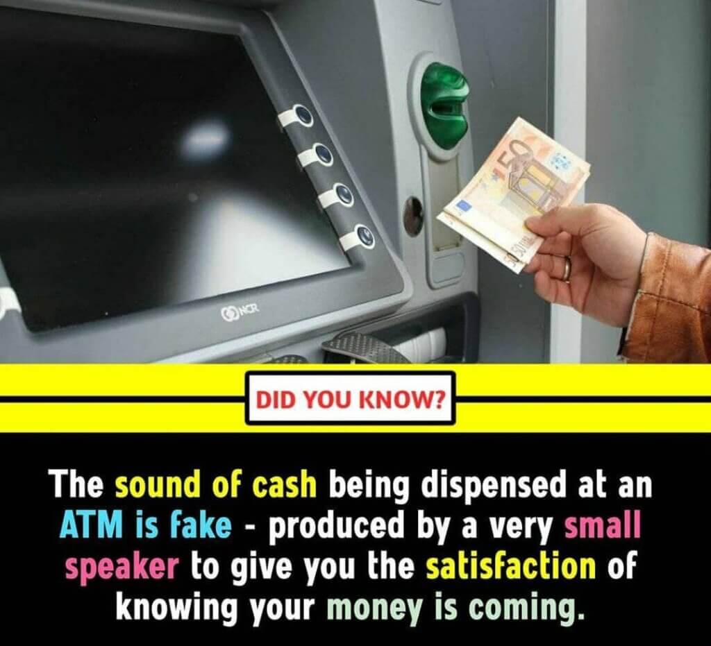 100+ Amazing Facts in English for Students - Unbelievable but True Facts 10 100+ Amazing Facts in English for Students – Unbelievable but True Facts