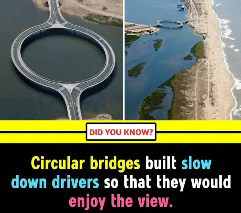 Top 10 amazing facts of the world for students 12 Top 10 amazing facts of the world for students