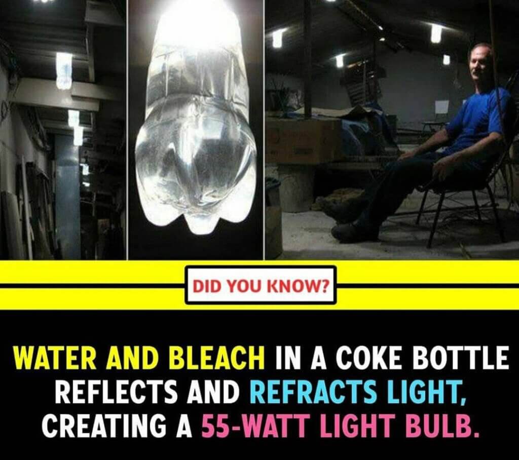 Top 10 amazing facts of the world for students 11 Top 10 amazing facts of the world for students