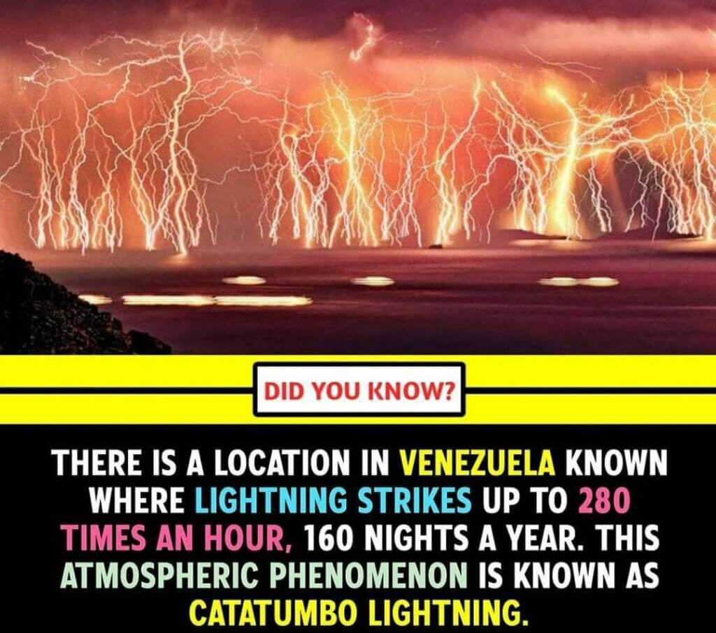 Top 10 amazing facts of the world for students 10 Top 10 amazing facts of the world for students